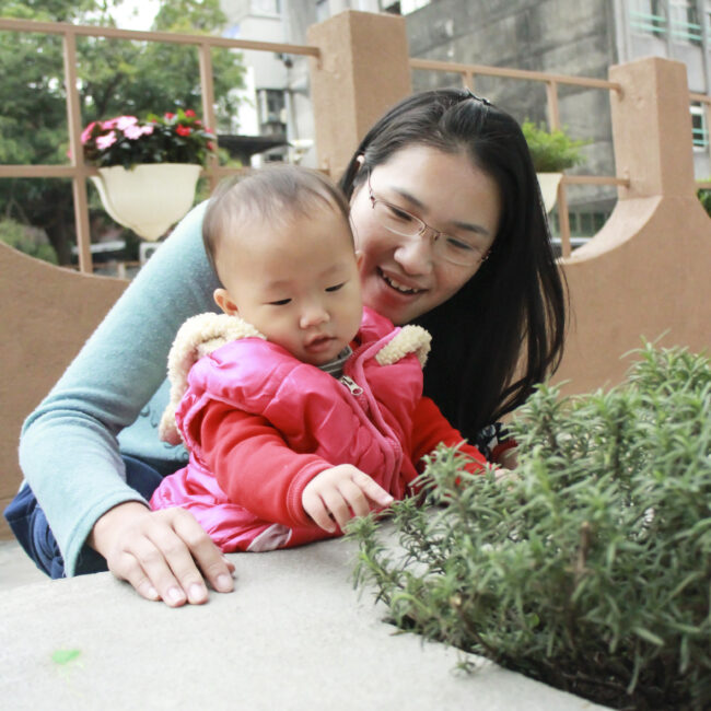 南港-香草植物區